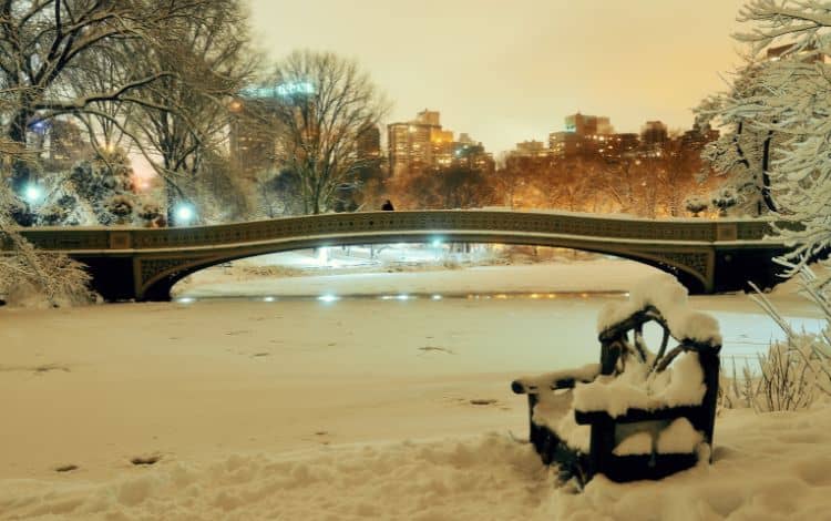 Natale Central Park