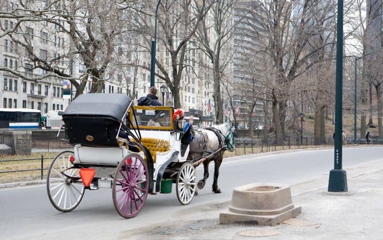 New York Central Park